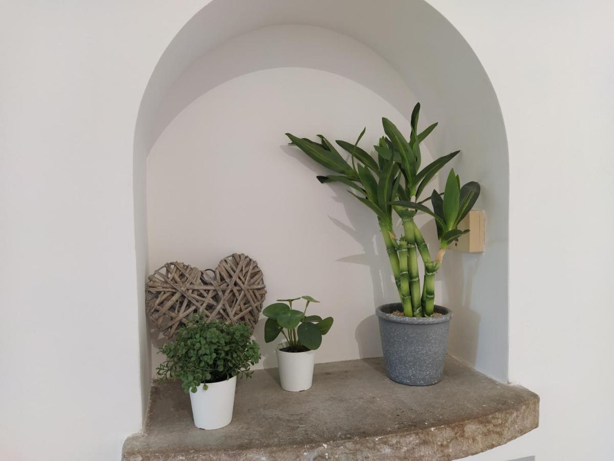 Eroso Saint Esprit Proche Gare Wifi Bureaux Apartment Bayonne Exterior foto